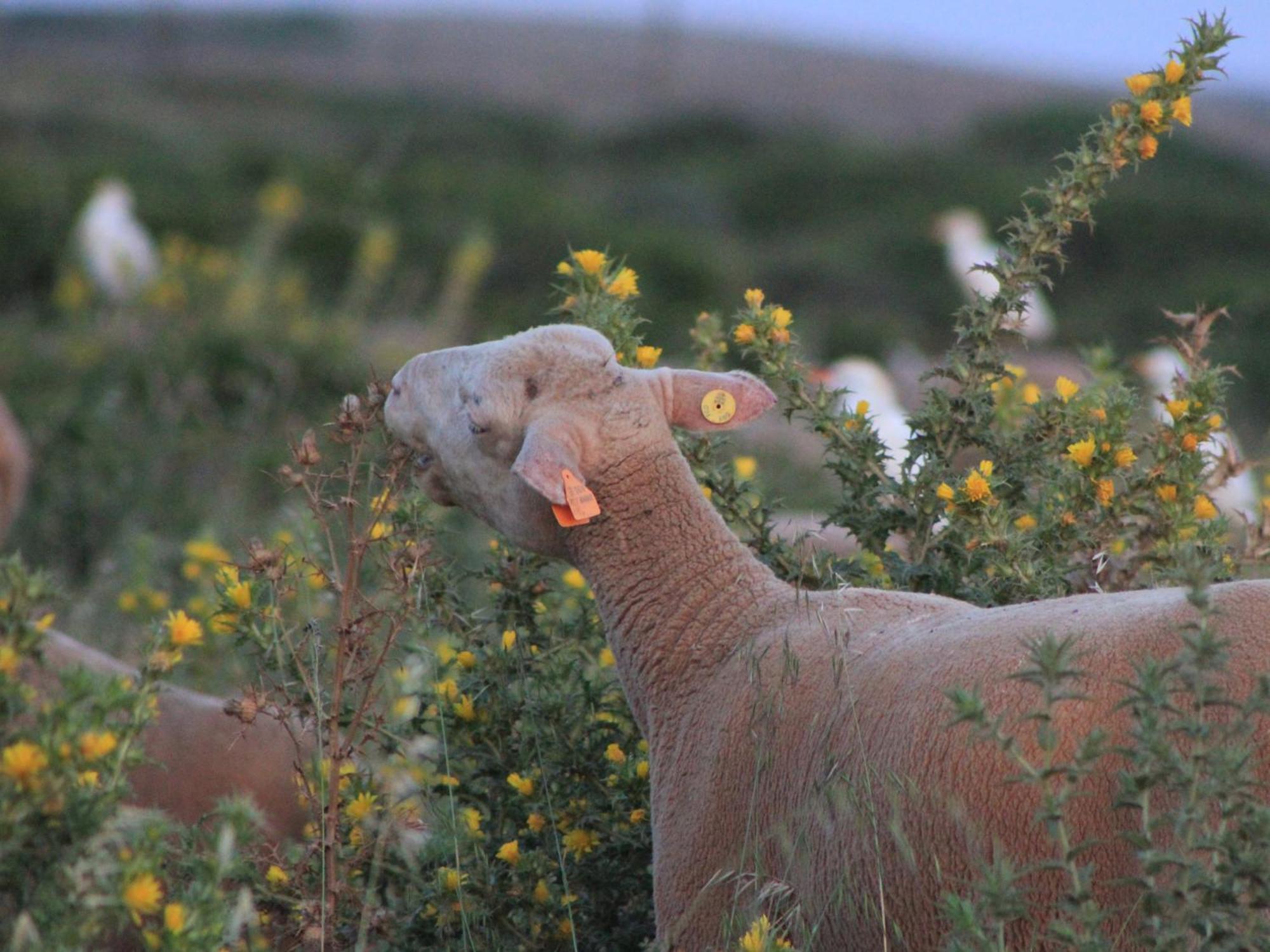Farm stay Monte De Santo Antonio - Turismo Rural