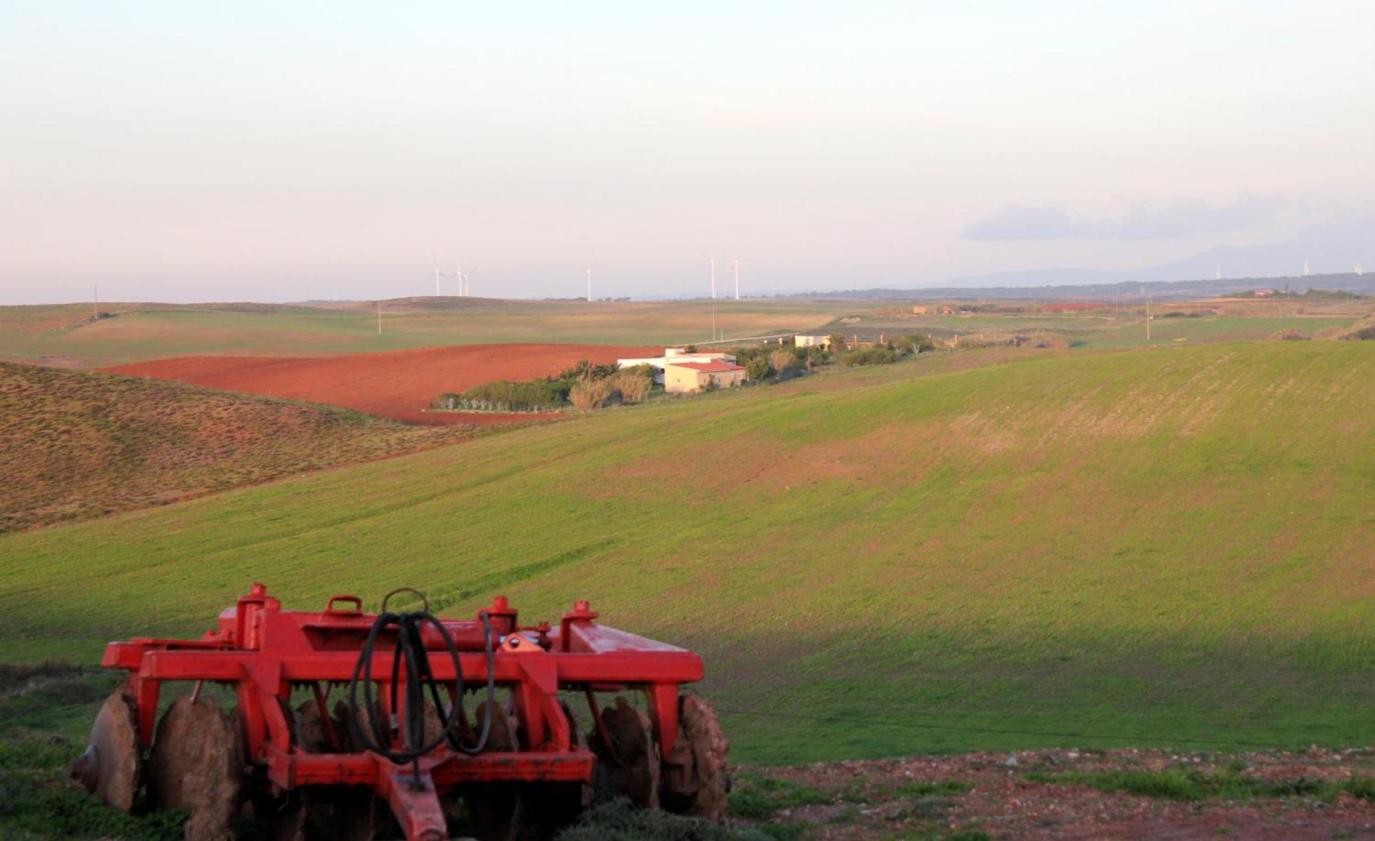 Monte De Santo Antonio - Turismo Rural Farm stay